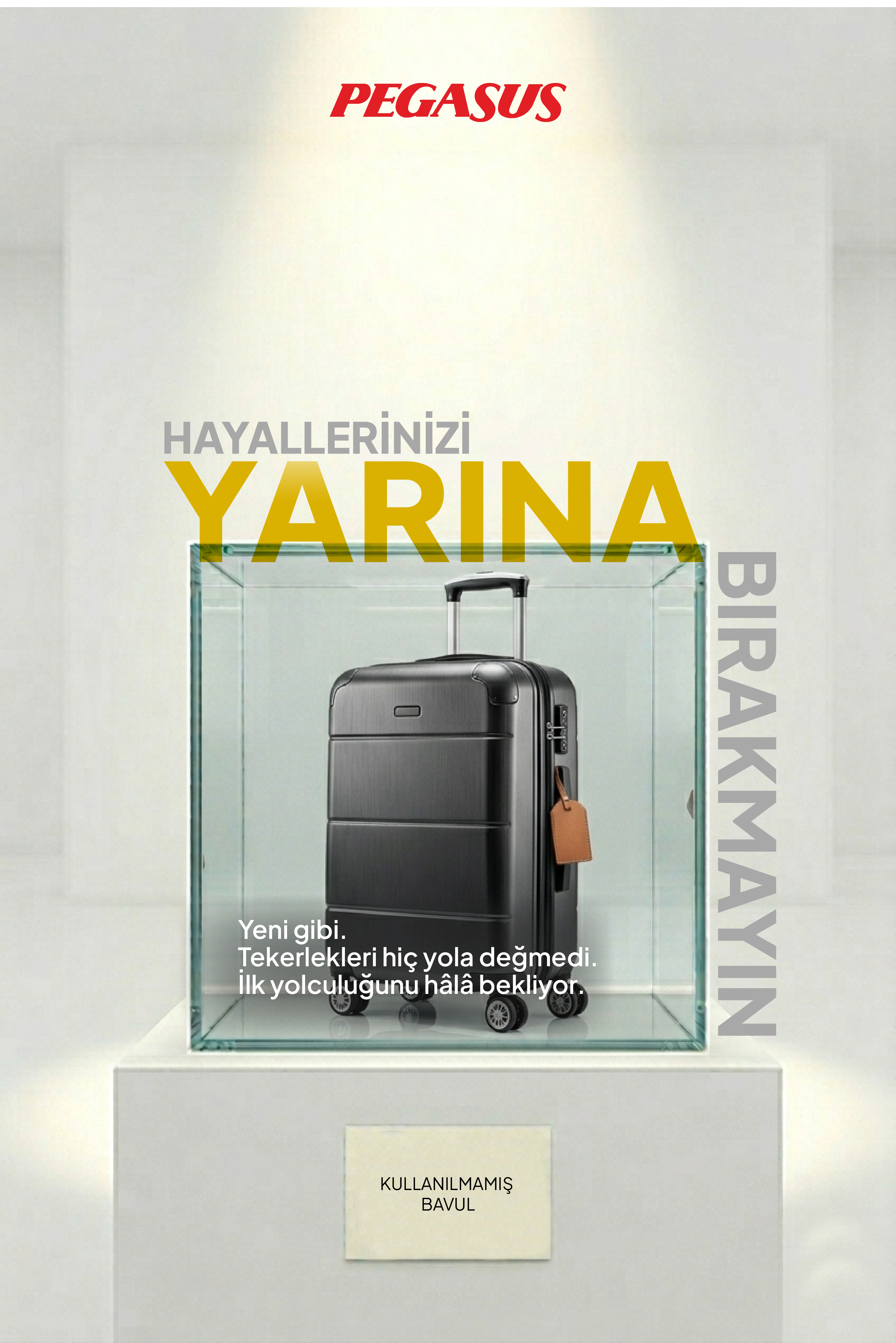 Bavul Fotoğraf Alanı